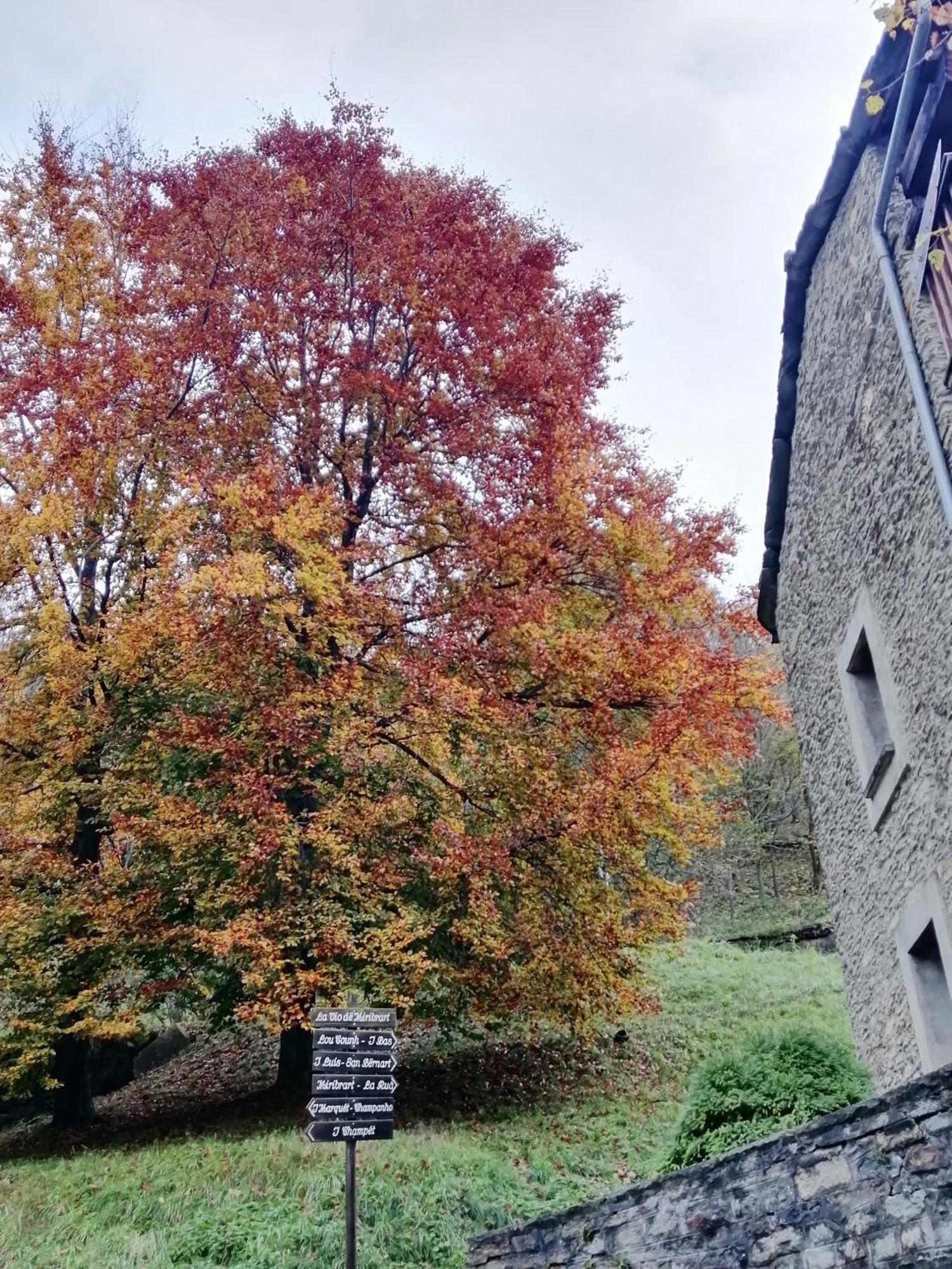 Rifugio Galaberna Hotel Ostana ภายนอก รูปภาพ